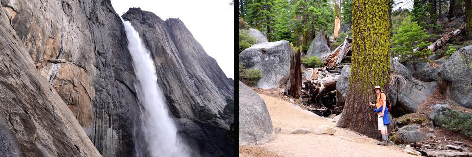 Top of Yosemite Falls
